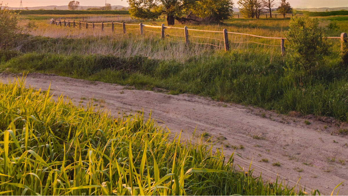 Landwirtschaftlicher Weg Anwendungsbereich elektro Kleintransporter